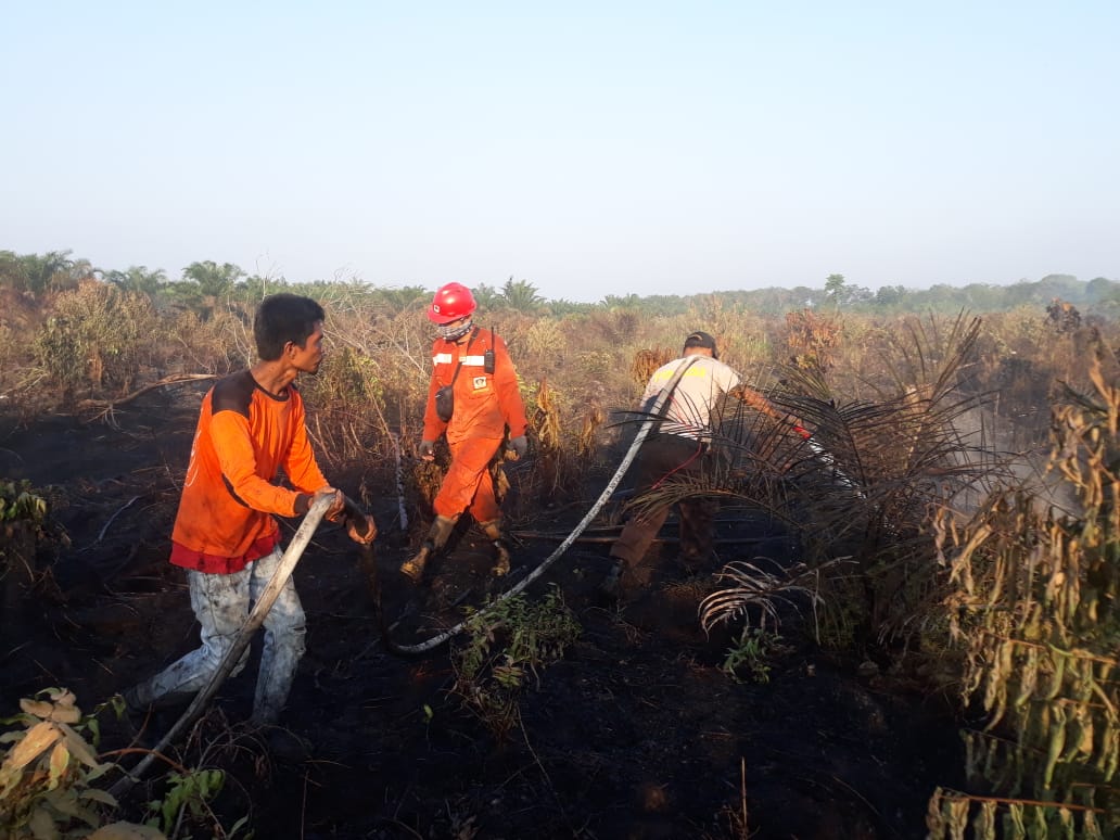 Polsek Tambang Amankan Seorang Pelaku Pembakaran Lahan