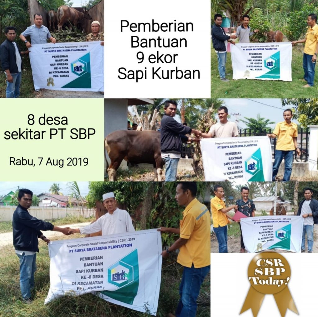 PT.Surya Bratasena Plantation Salurkan Hewan Qurban K – 8 Desa