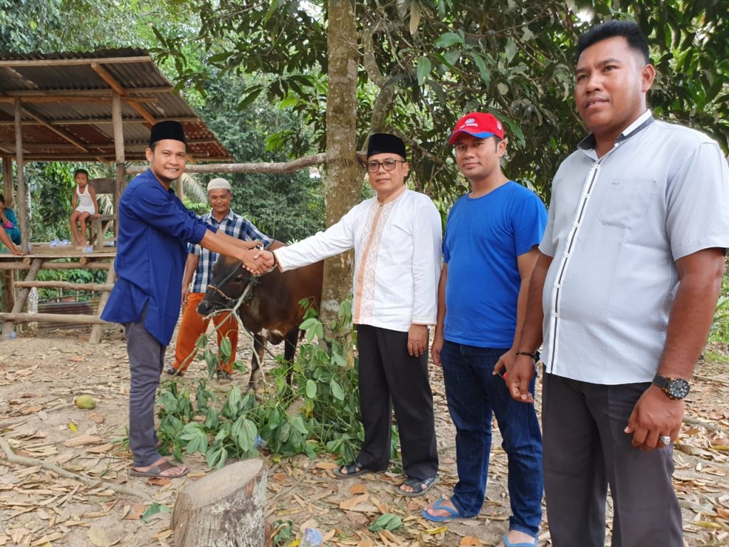 PT.Musim Mas Salurkan Hewan Qurban Ke 7 Desa Dan 2 Kelurahan