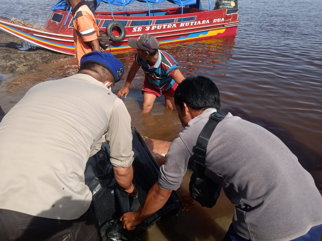 Orang Tenggelam Di  Sungai Kampar Berhasil Ditemukan Dalam Keadaan Terapung