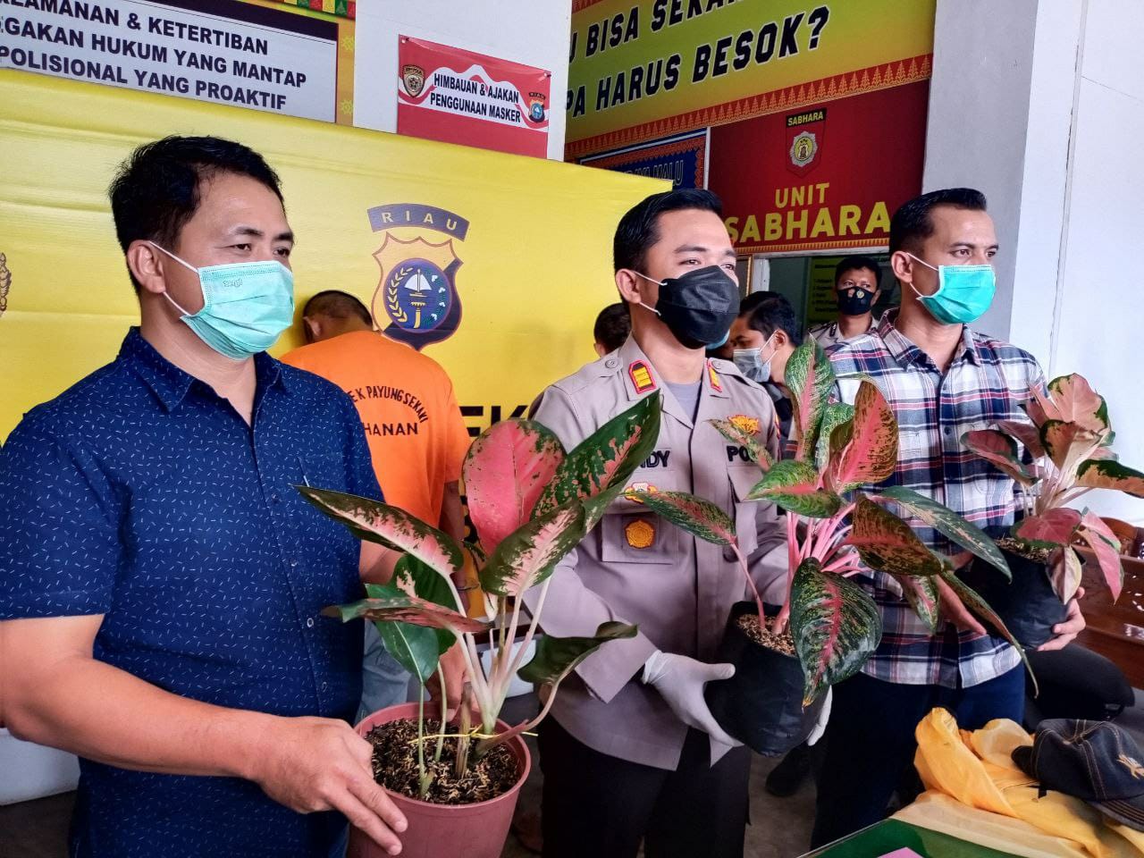 Pelaku dan Penadah Pencurian Bunga Aglonema diamankan Polsek Payung Sekaki