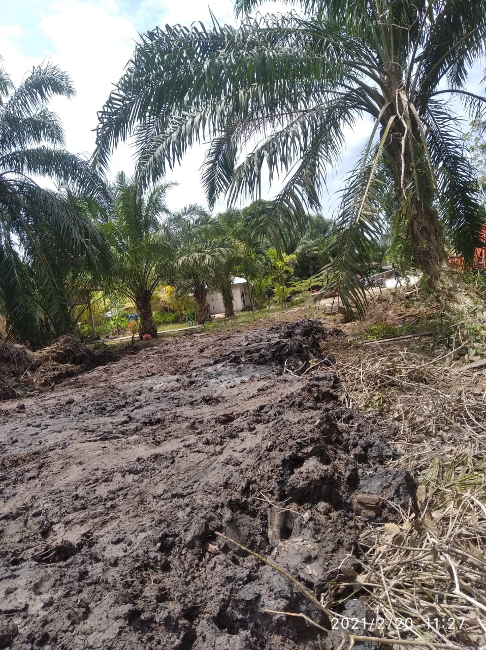 Pembuatan bodi jalan Desa lubuk gaung di Diduga Proyek Siluman