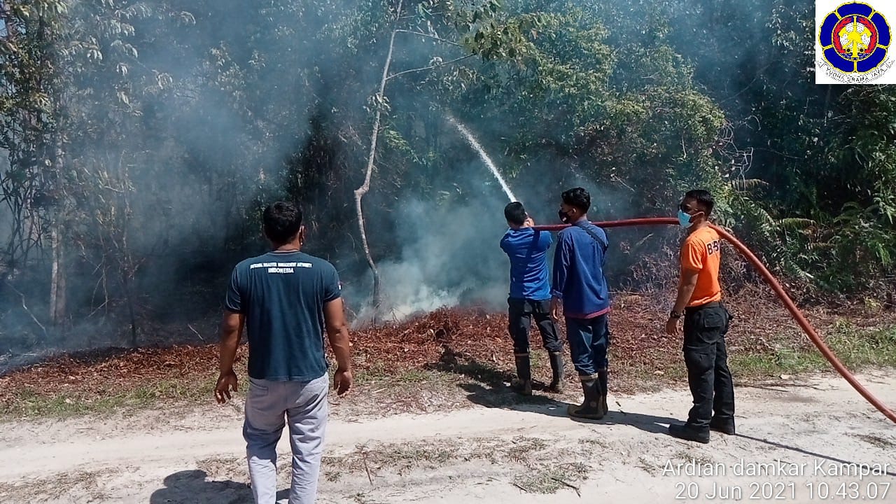 Damkar dan BPBD Kampar Padamkan Kebakaran Lahan di Sungai Hijau