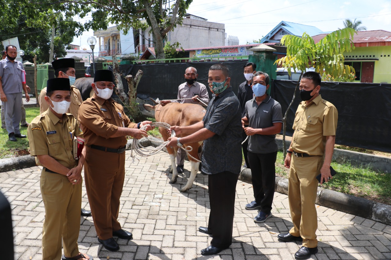 Pemkab Kampar Distribusikan Hewan Qurban Ke Desa dan Masyarakat