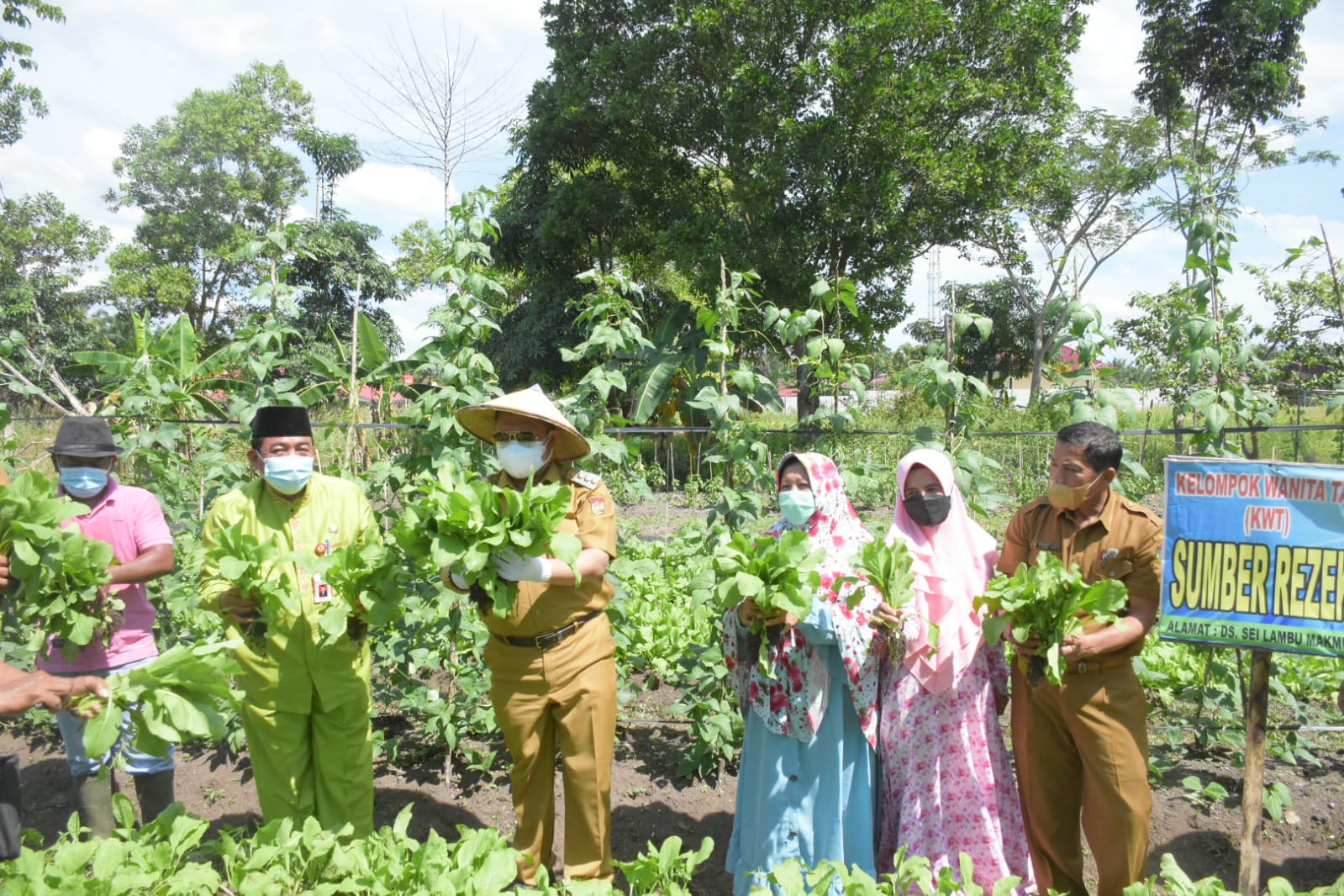 Panen Sayuran P2L Sei Lambu Makmur,Catur : Bukti Tani Dapat memberikan Kesejahteraan Keluarga