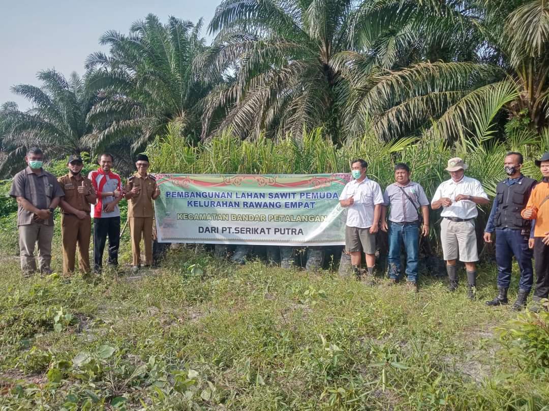 Camat Bandar Petalangan Hadiri Kegiatan Penanaman Bibit Sawit Di Kelurahan Rawang Empat