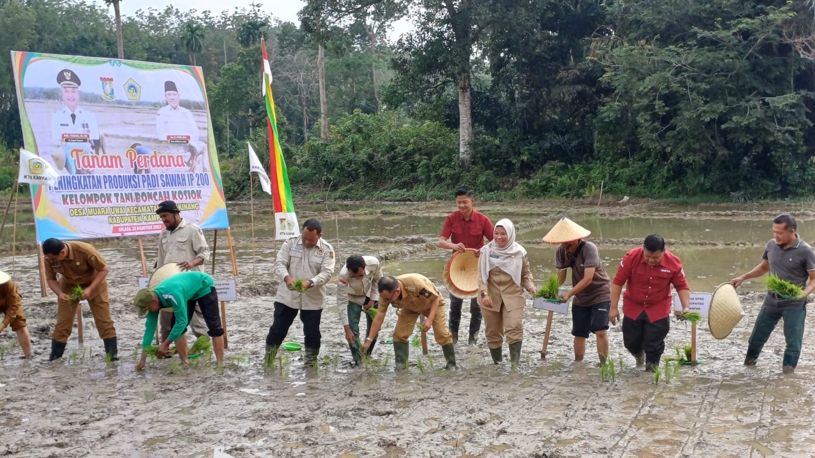 Fahmil : Pemerintah Harus Fokus Perhatikan Petani Padi Sawah Agar Produksi Bisa Meningkat