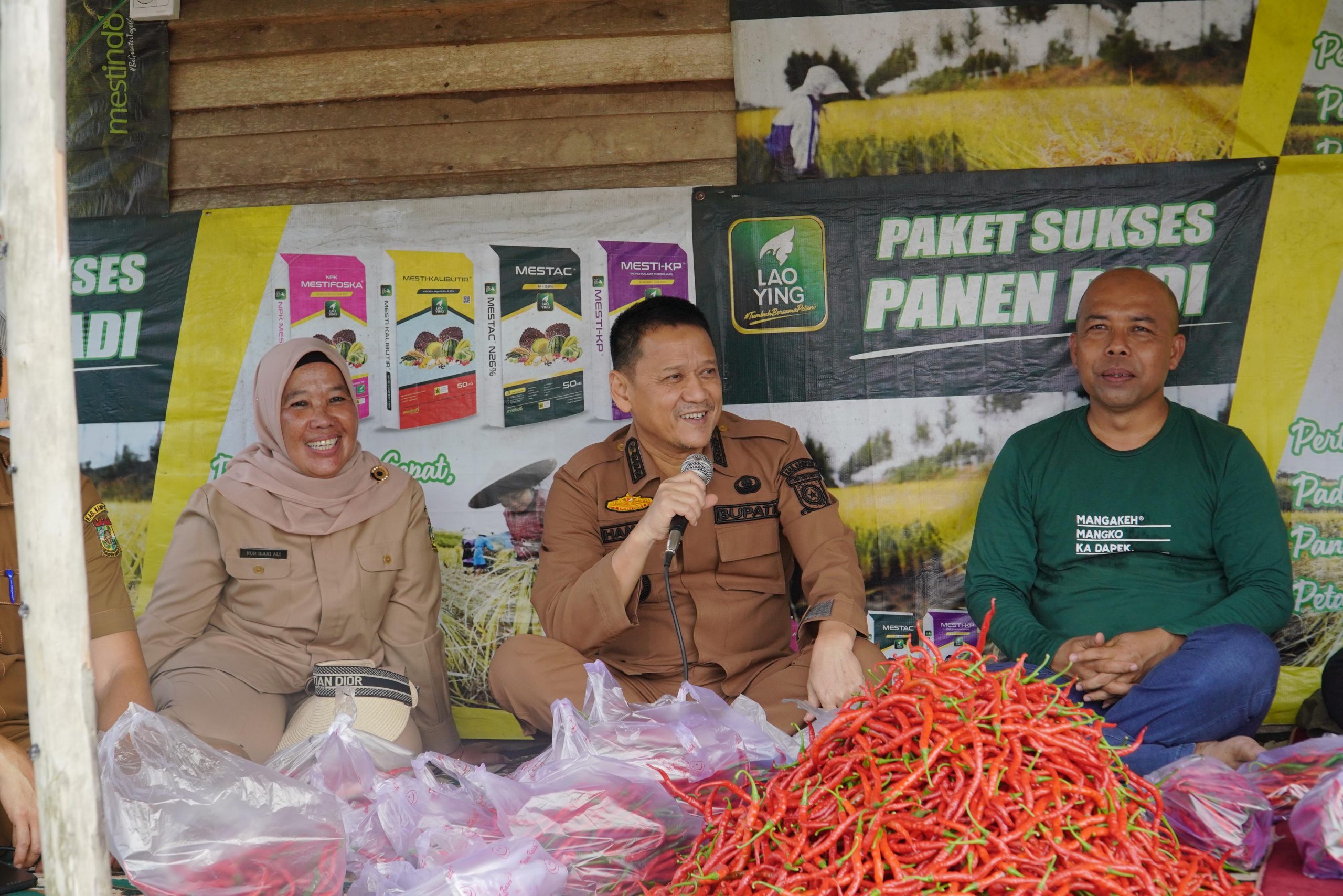 PJ.Bupati Kampar Hadir Secara Langsung Panen Raya Cabe Merah Besar