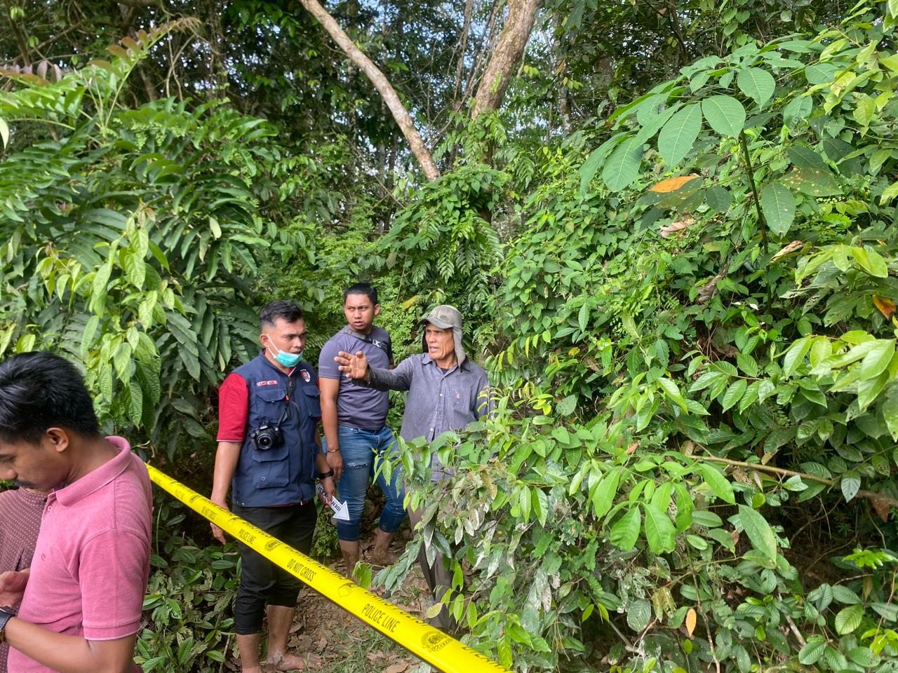 Nenek Ditemukan Tewas Telungkup di Sawah, Tubuh Luka-luka