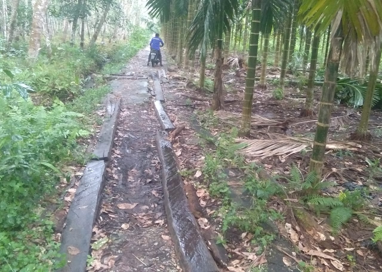 Jalan Poros Jepun Desa Telaga Baru Menjadi Sorotan Masyarakat, Pemerintah Terkesan Tak Merespon