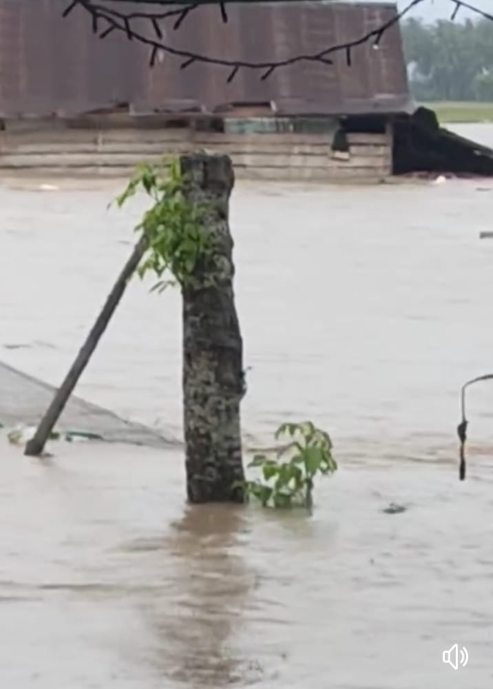 Kampale Sidrap Berduka! Dua Rumah Hanyut, Banjir Ancam Gagal Panen