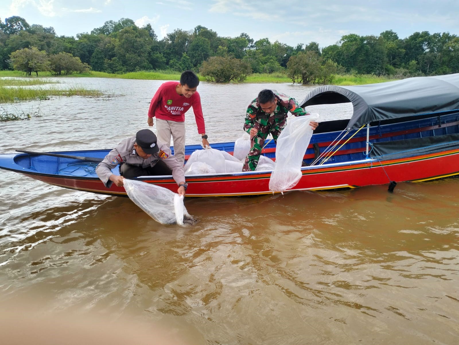 Babinsa Muara Muntai, Restocking 32.300 Bibit Ikan Baung Jaga Keseimbangan Ekosistem Perairan