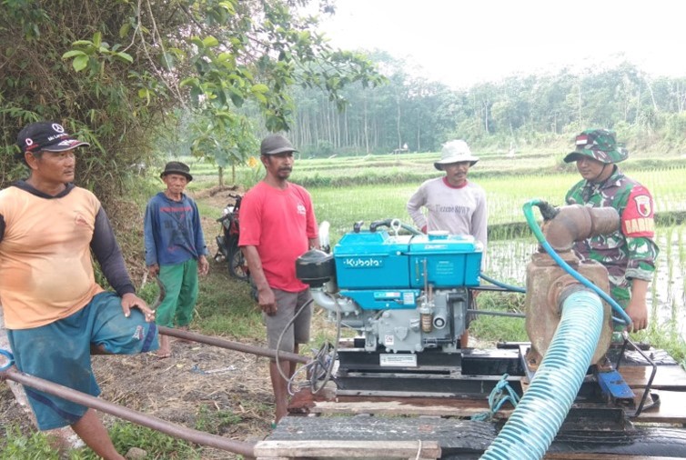 Dukung Ketahanan Pangan, Sertu Tri Rosadi Dampingi Program Pompanisasi