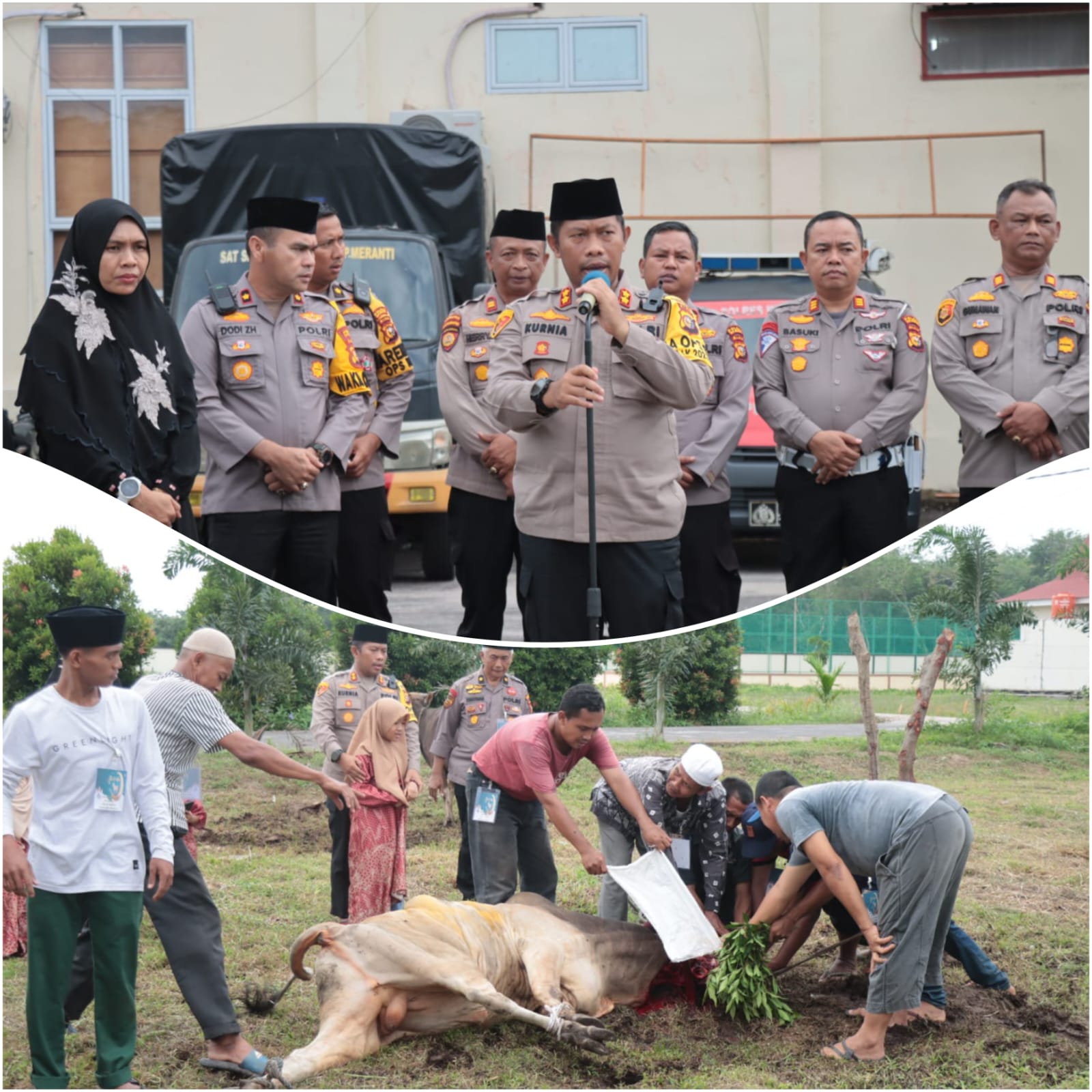 Kapolres Kepulauan Meranti Pimpin Langsung Penyembelihan Hewan Qurban Hari Raya Idhul Adha