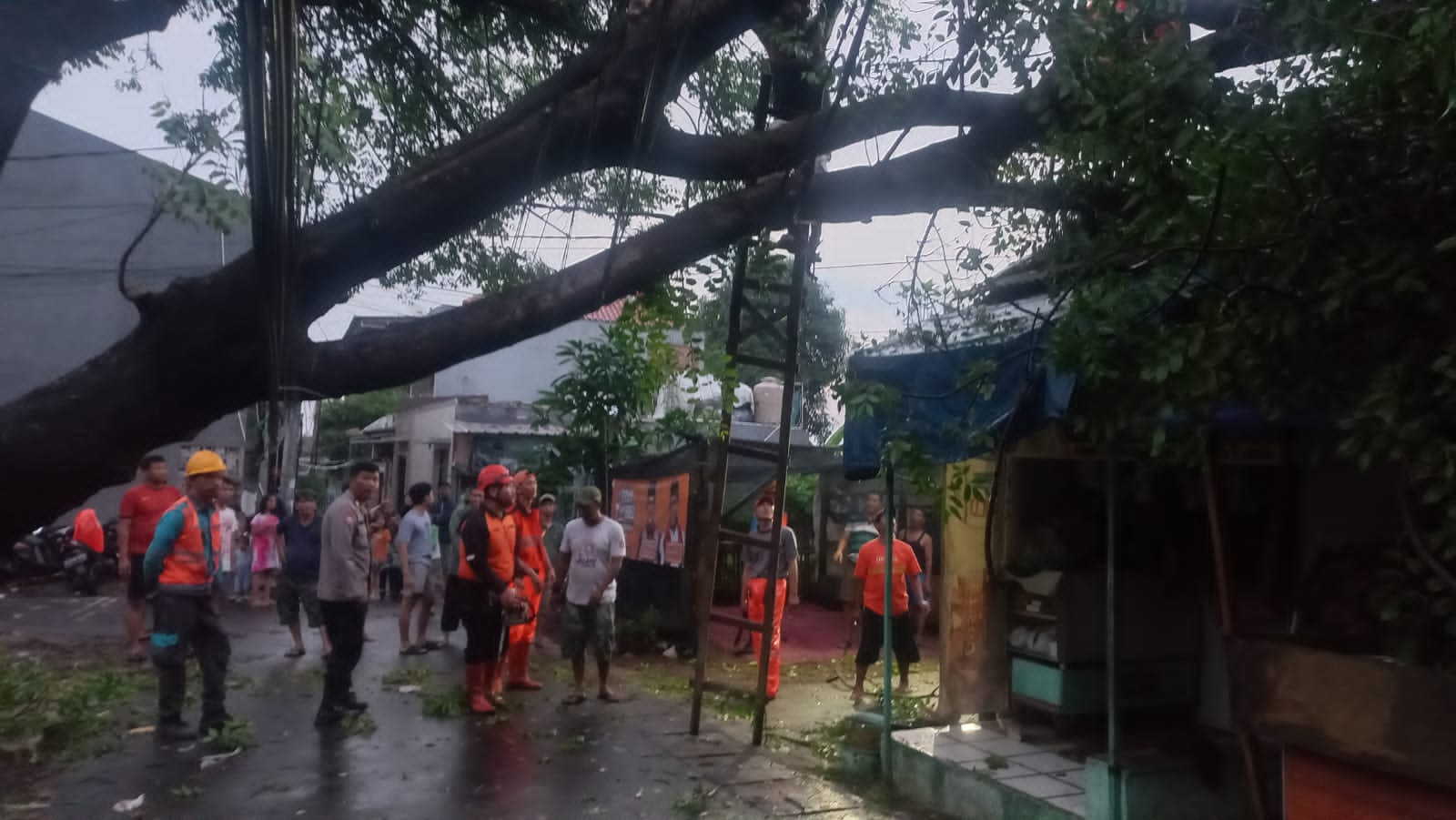 Polsek Kembangan Tanggap Aduan Warga Adanya Pohon Tumbang Di Jalan Manunggal Meruya Selatan