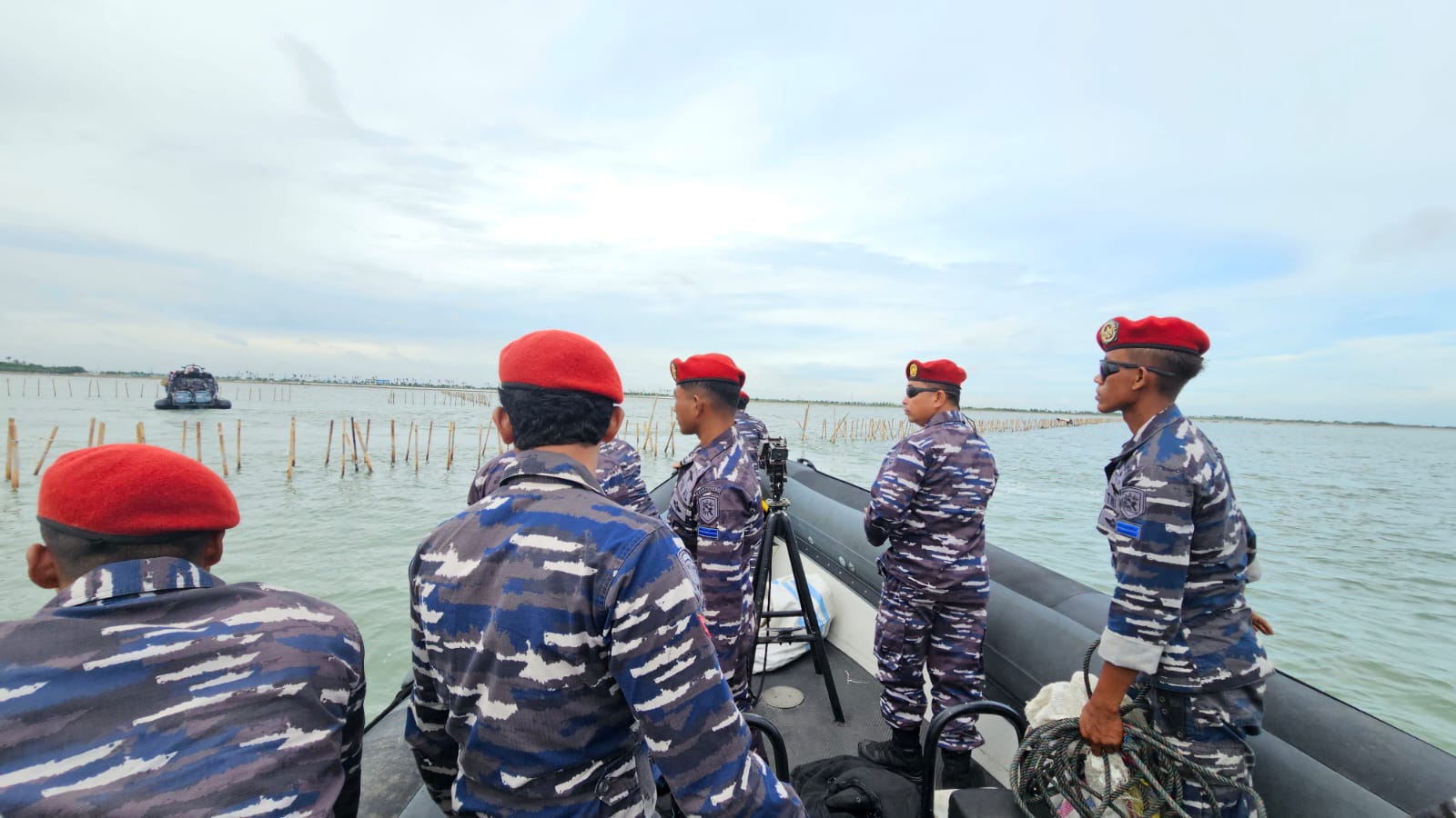 Kopaska TNI AL Mulai Cabut Pagar Laut Sepanjang 30 Km