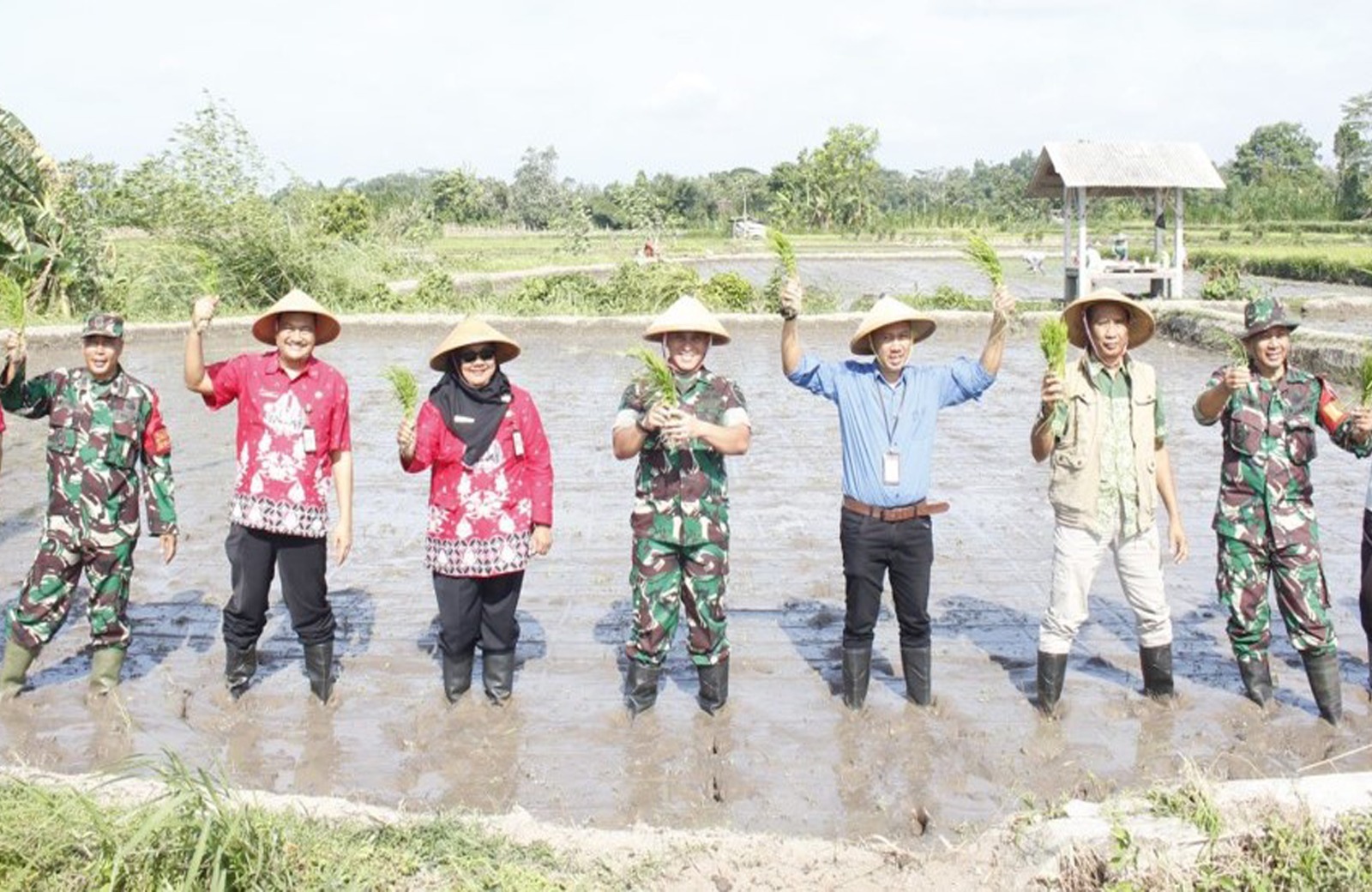 Ka Bulog, Kepala Dinas Ketahanan Pangan, Dandim 0808 Beserta Forkopimcam Kepanjen Kidul Dan Kelompok Tani Ngadirejo Tanam Padi Bersama Di Kota Blitar