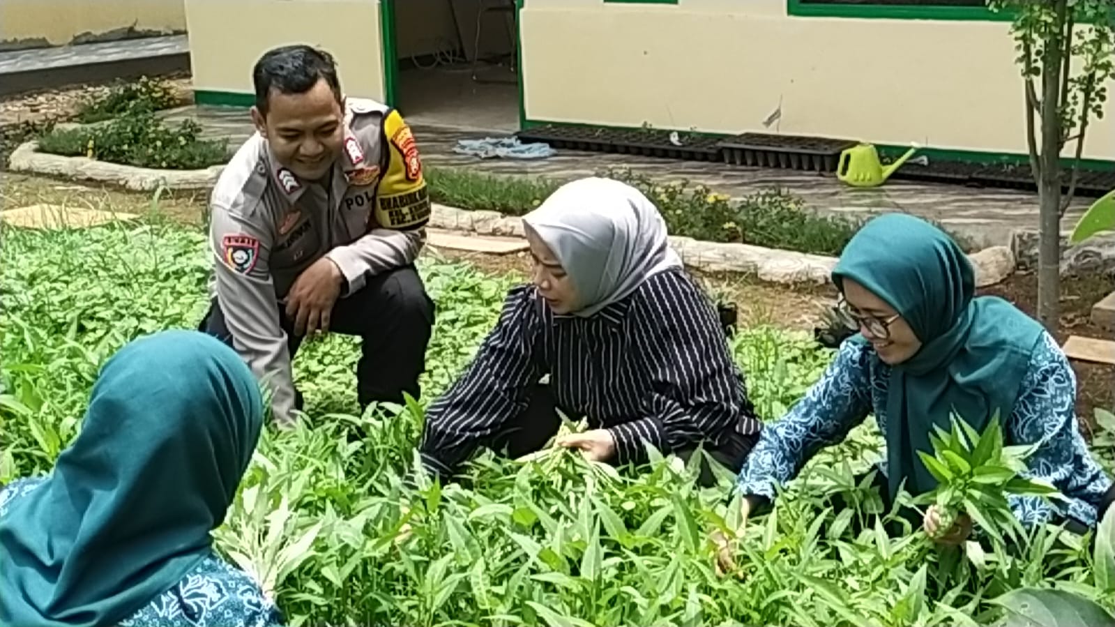 Kolaborasi Polri, Dinas KPKP, dan Poktan 53 Bonjer : Panen Perdana di Kebun Bergizi