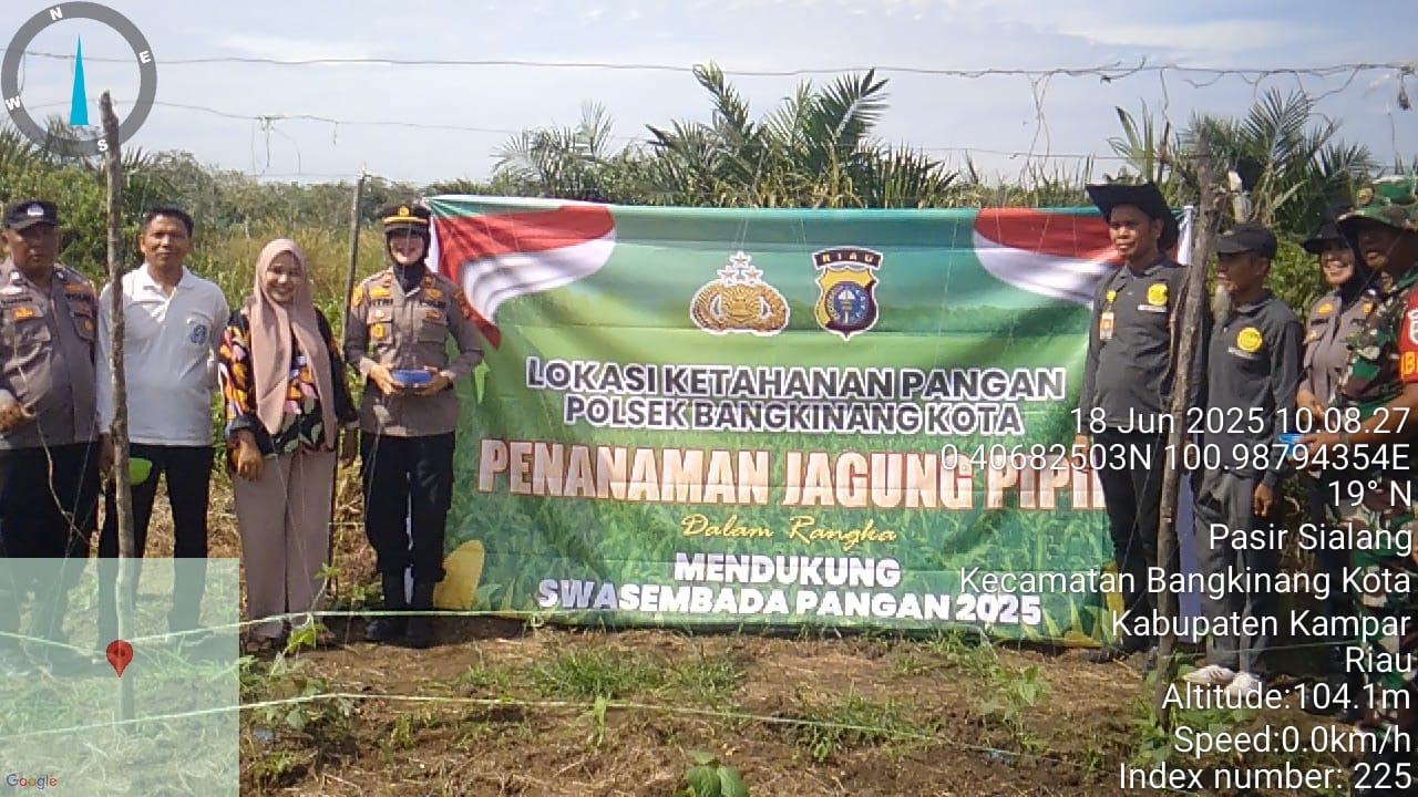 Kapolsek Bangkinang Kota Tanam Jagung di Bukit Sembilan : Polri Dukung Ketahanan Pangan