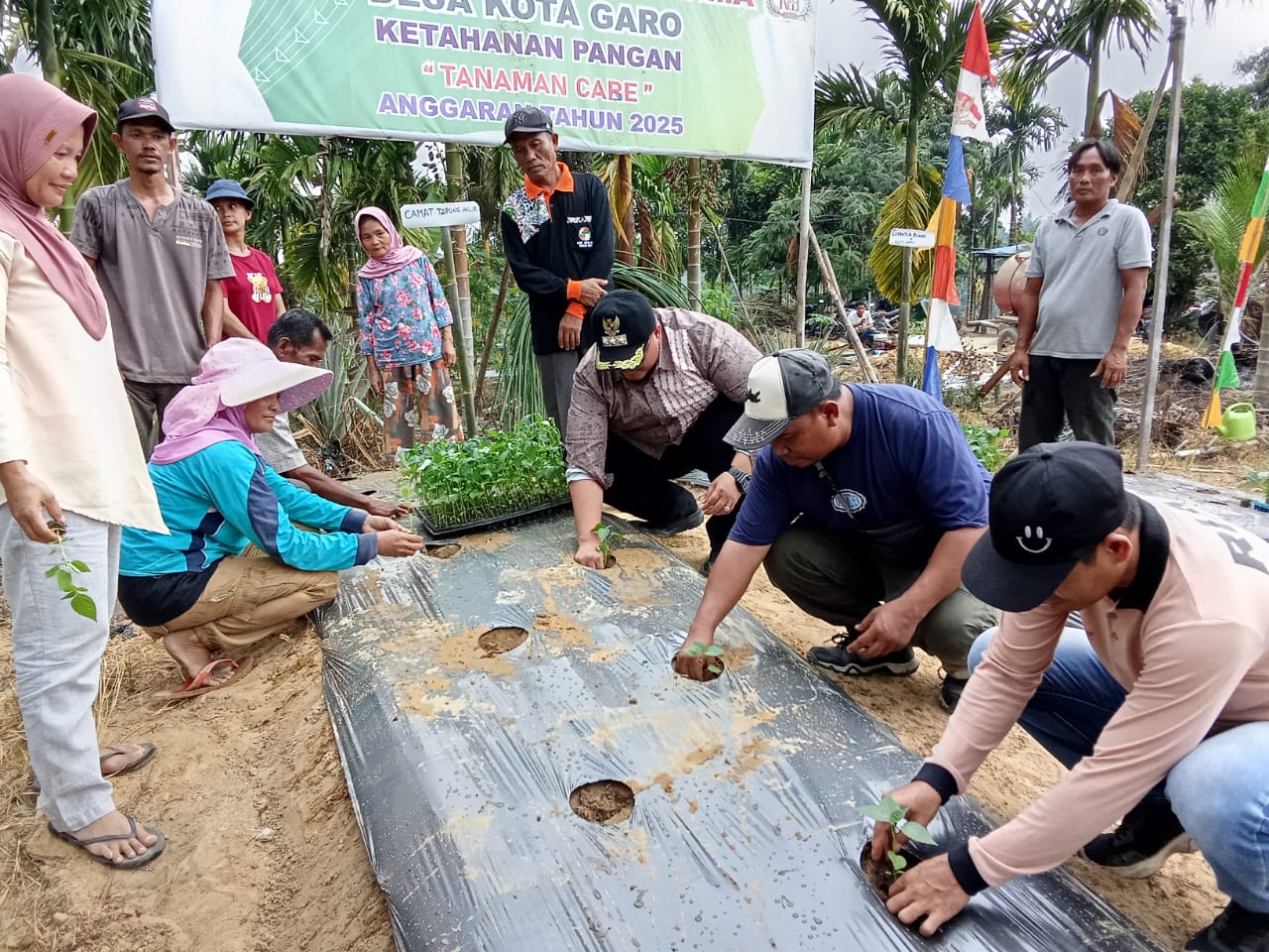 Camat Tapung Hilir Pimpin Penanaman Perdana Cabai di Kota Garo