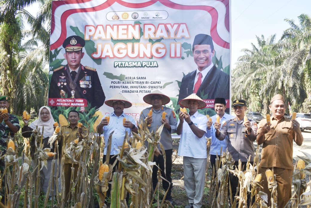“Polisi Juga Dukung Pertanian” Kapolres Kampar Turut Panen Raya Jagung di PT. Tasmapuja, Bukti Kemitraan Polri-Perusahaan Majukan Kampar